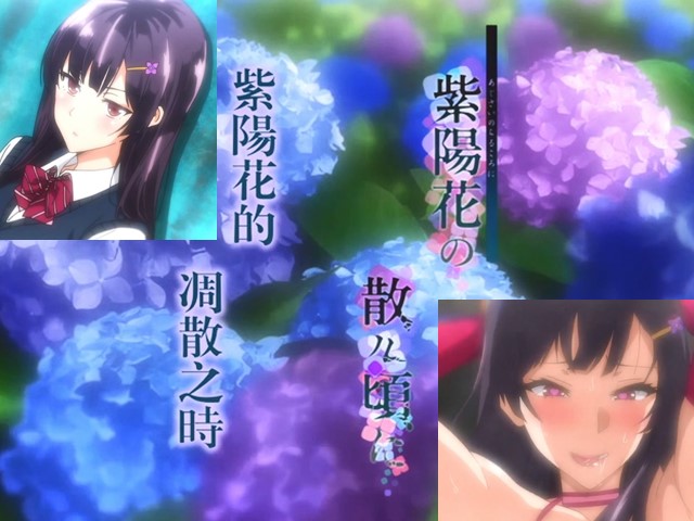 【动漫】紫陽花的凋散之時-中文字幕